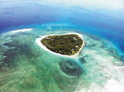 蓝色珊瑚礁在线观看,探寻海底奇观之旅